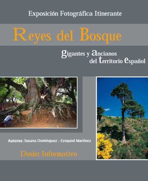 portada exposicion Reyes del Bosque