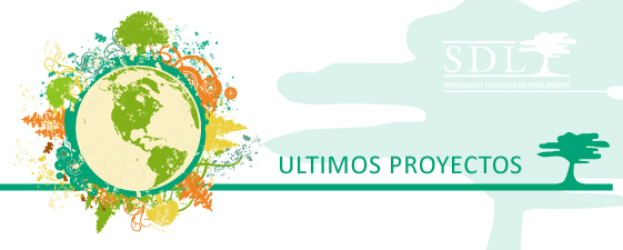 ultimos proyectos imagen destacada