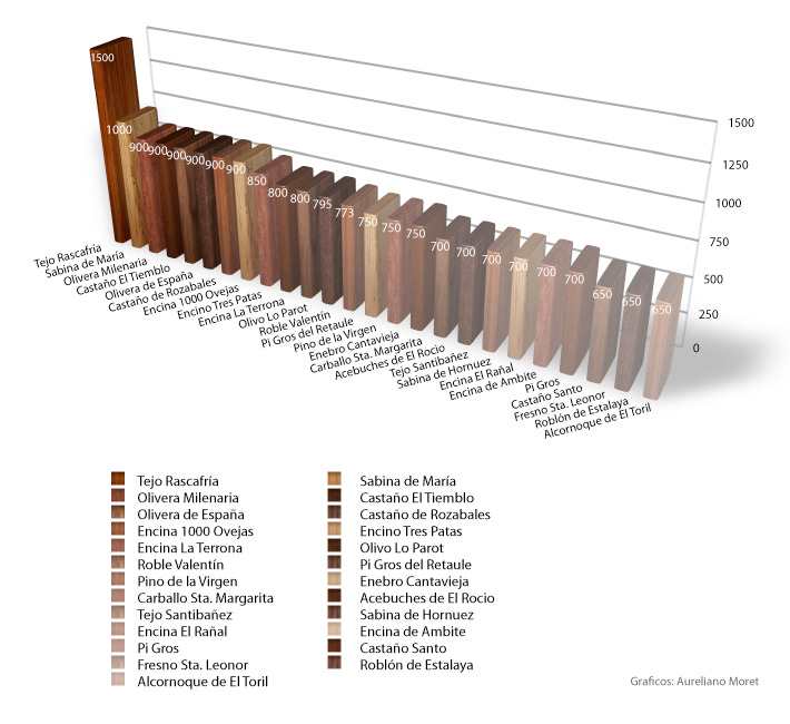 grafico edades