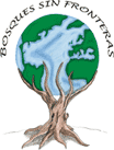 logo bosques sin fronteras