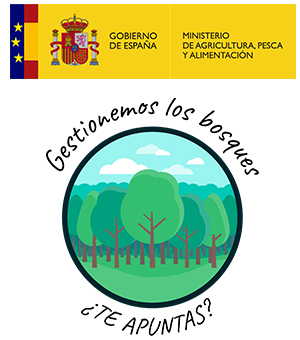 Gestionemos los bosques